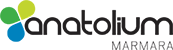 Anatolium Logo